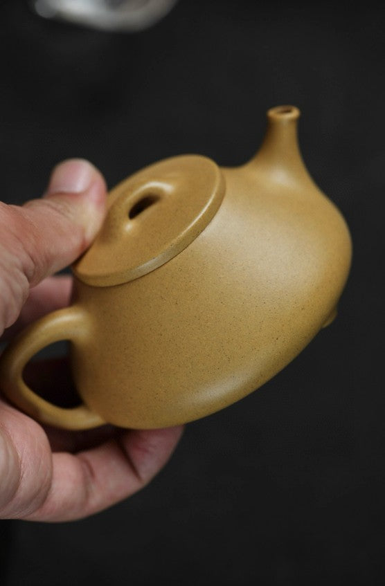 Xin Zhou Shi Piao made by Level 2 artist Wang Hao